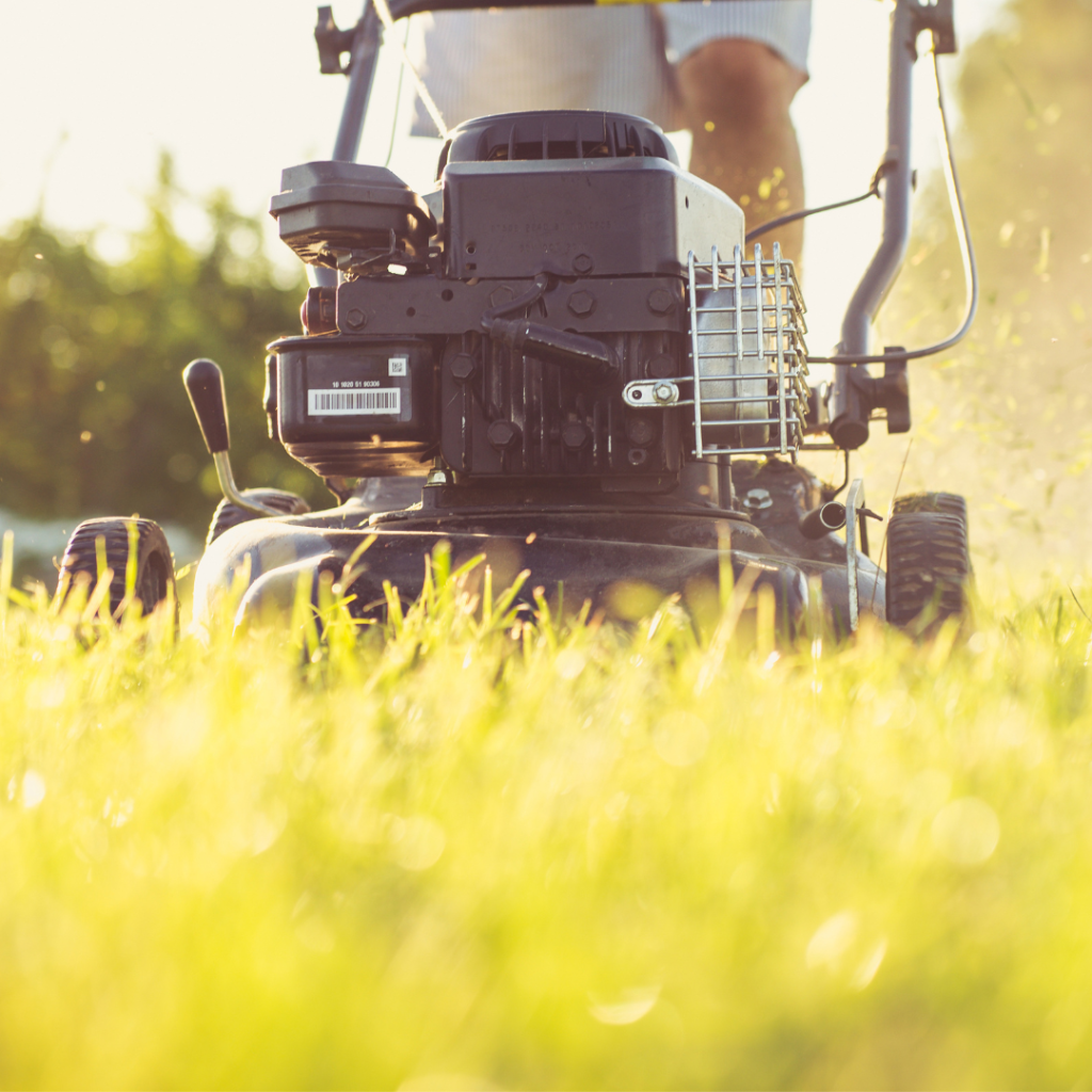 Essential Summer Maintenance